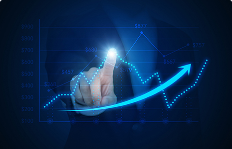 完善制度，规范流程，严格履行信息披露义务