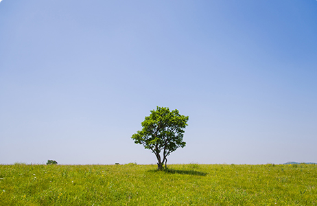完善制度，规范流程，严格履行信息披露义务